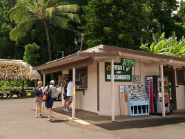Halfway To Hana