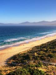 Bruny Island