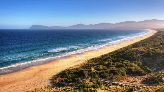 Bruny Island