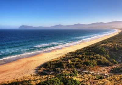 Brunny Island