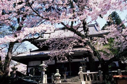 日本神户麪包超人小童博物館＆購物商場+神户動物王國+有馬温泉鄉一日遊