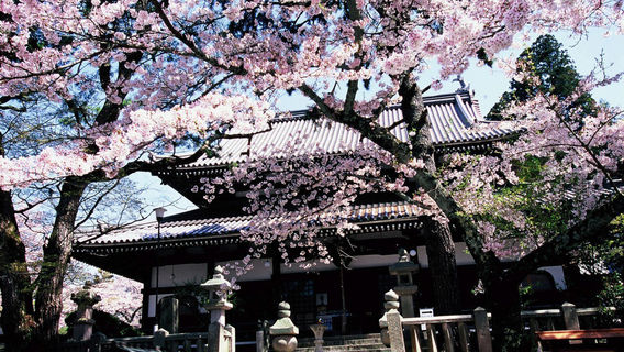神戶