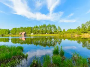 Inner Mongolia Genhe Forestry Bureau Genhe Zhumuchang