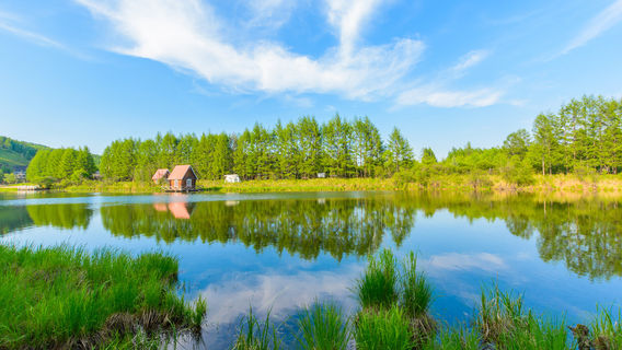 Inner Mongolia Genhe Forestry Bureau Genhe Zhumuchang