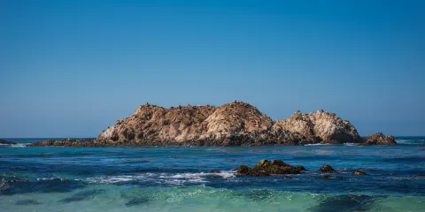 *【包車】斯坦福大學+硅谷+九曲花街+金門大橋市區經典一日遊