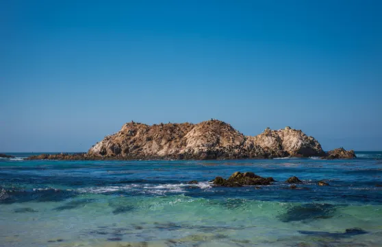 【包車】史丹福大學+硅谷+九曲花街+金門大橋市區經典一日遊