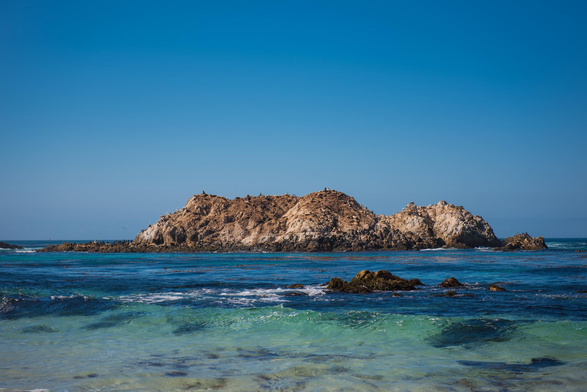 【包車】史丹佛大學+硅谷+九曲花街+金門大橋市區經典一日遊