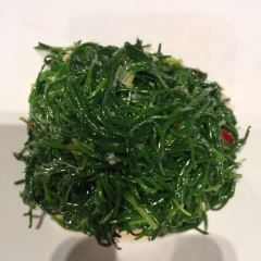 Lao mao 여행 사진