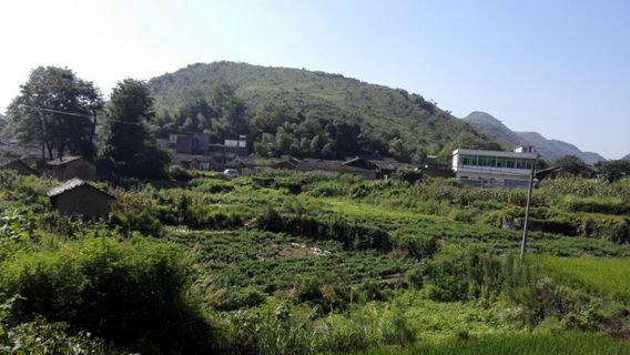 Tongtianluo Forest Park