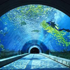 Aqua - Aquarium Restaurant User Photo