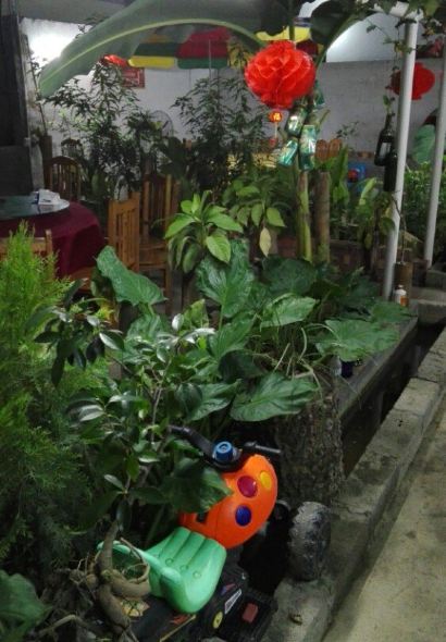 山野觅香生态园餐厅