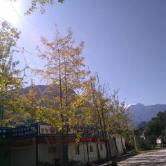 SHUI MO SHAN CAI WANG User Photo