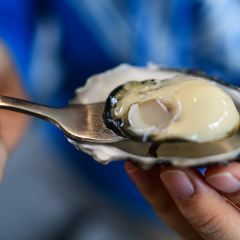 Get Shucked Oyster User Photo