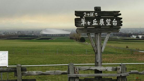 这个观景平台位于札幌市区附近的一座小山丘上，在这里可以眺望札