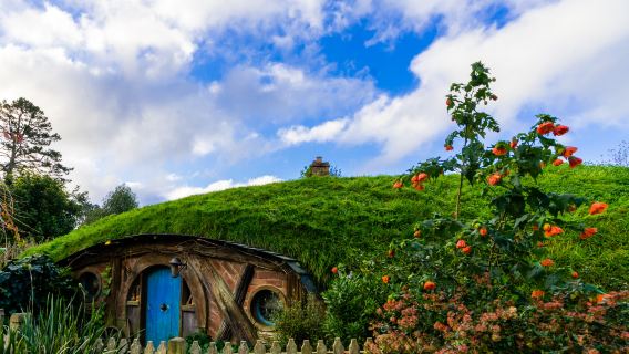 Partenza da Auckland, Nuova Zelanda: Tour del Villaggio degli Hobbit (trasferimento dall'hotel di Auckland incluso)