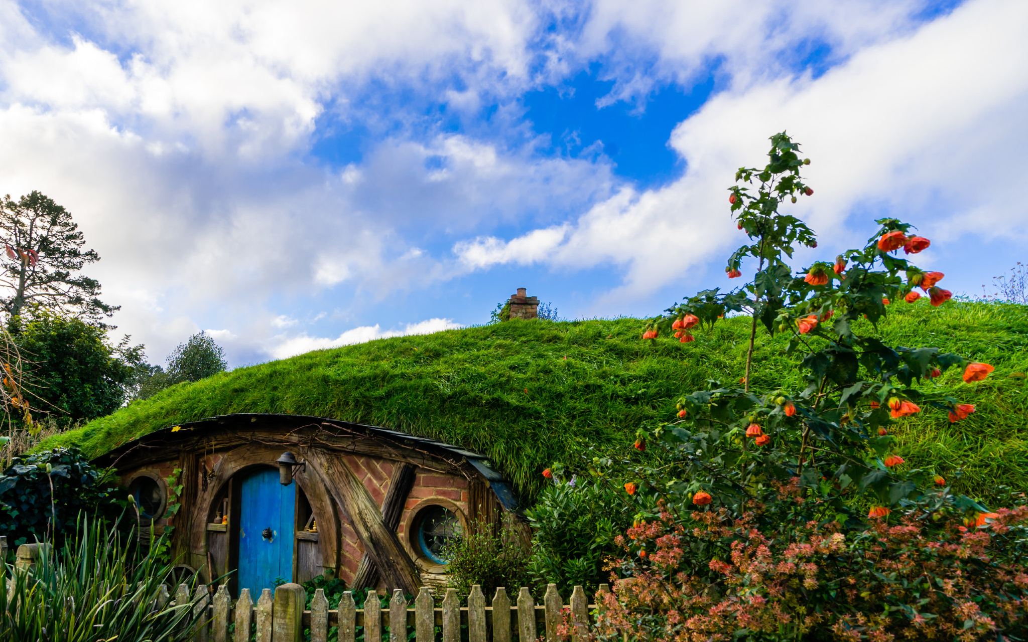 From Auckland, New Zealand: Hobbiton™ Movie Set Tour (with Auckland Hotel Transfers)
