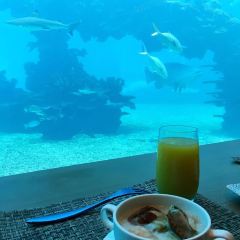Aqua - Aquarium Restaurant User Photo