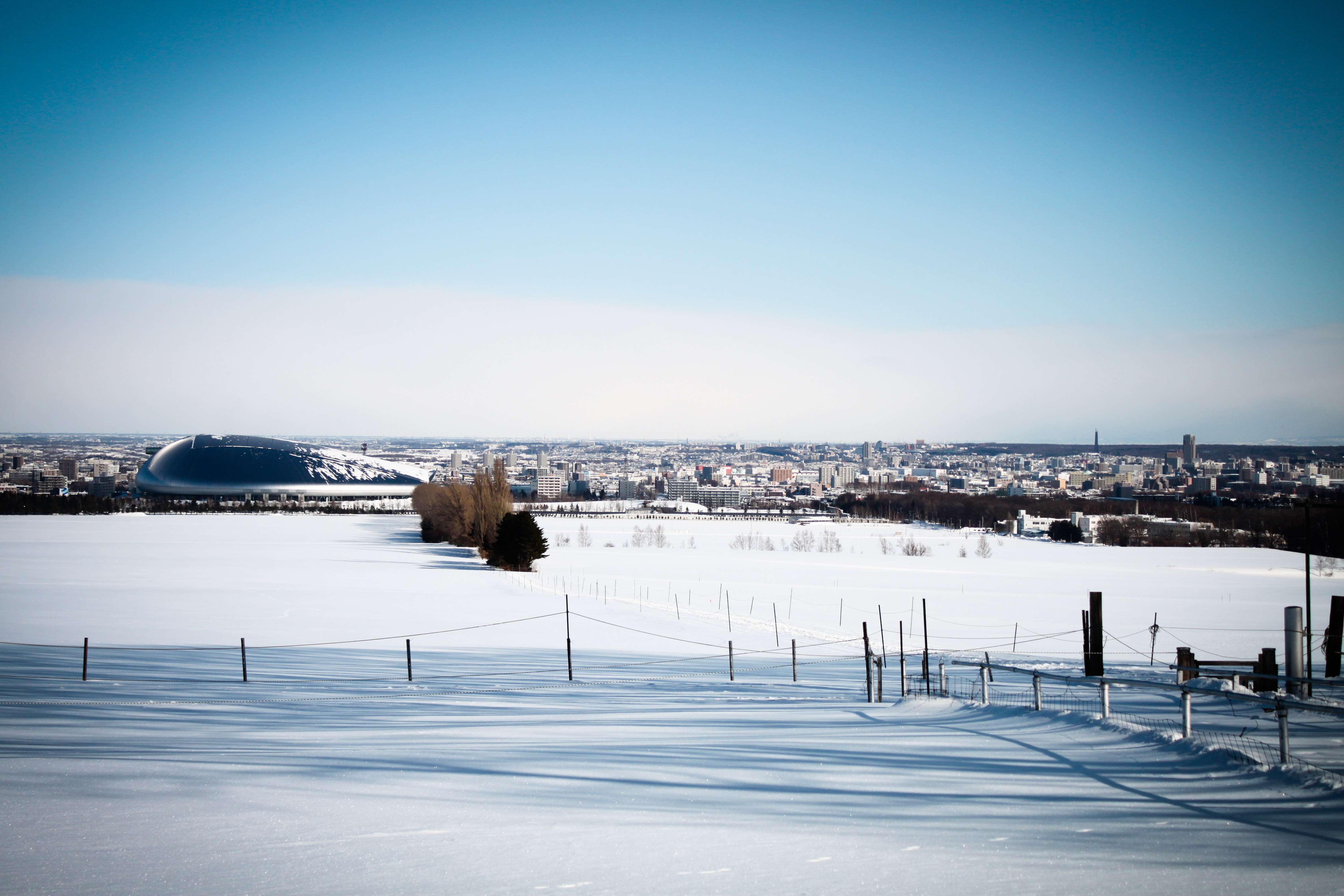 北海道 さっぽろ羊ヶ丘展望台 Eチケット 予約