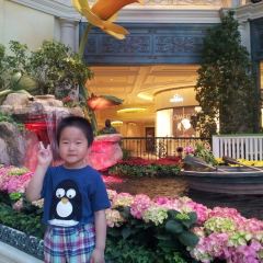 The Buffet at Bellagio 여행 사진