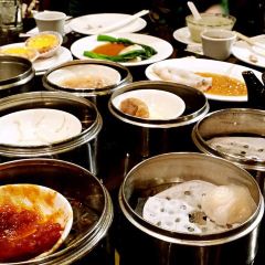 Ping Pang Pong User Photo