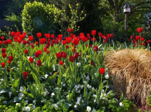 United States Botanic Garden