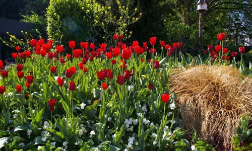 United States Botanic Garden