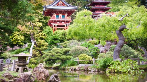 Golden Gate Park