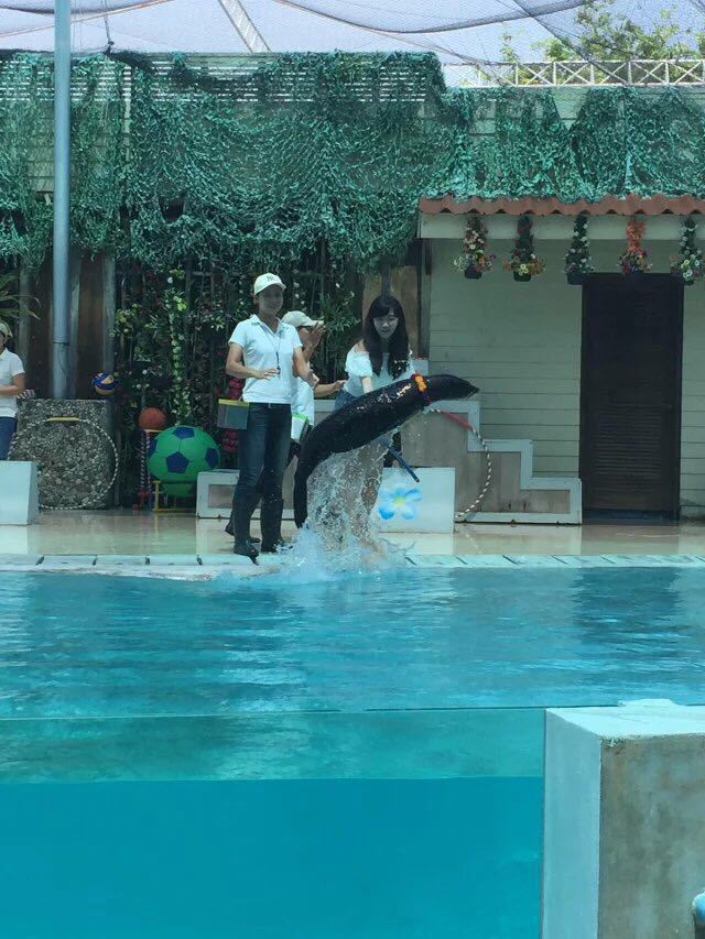 蘇梅水族館和老虎園