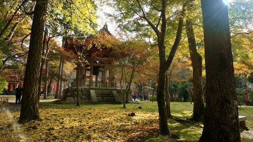 Daigo-ji Temple