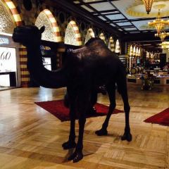 Alforno - Dubai Mall User Photo