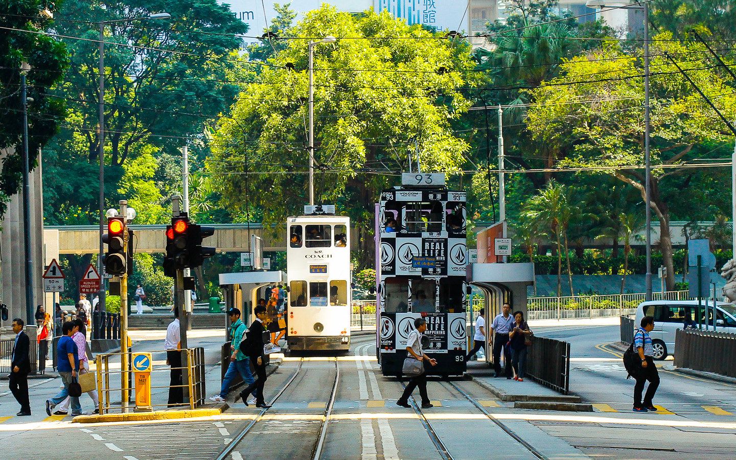 香港尖沙咀+中環一日遊【司機兼導遊包車遊‖打卡全港經典路線】