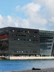 Royal Library, Denmark