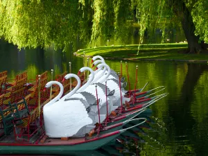 Boston Public Garden