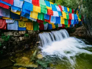 Kading Tianfo Pubu Forest Scenic Area