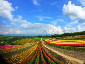Panoramic Flower Gardens Shikisai-no-oka