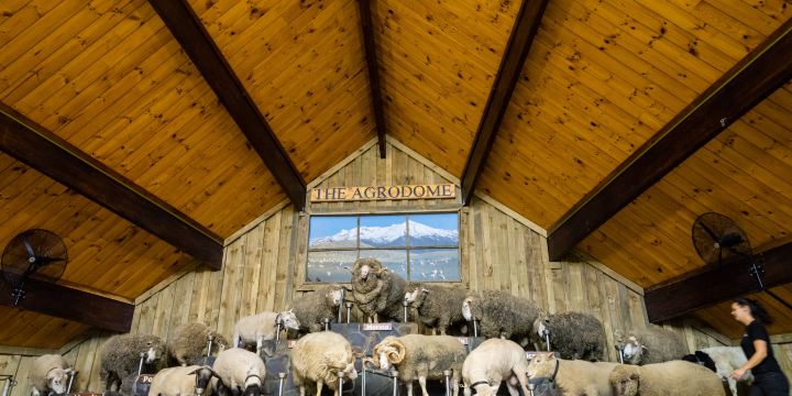 Agrodome