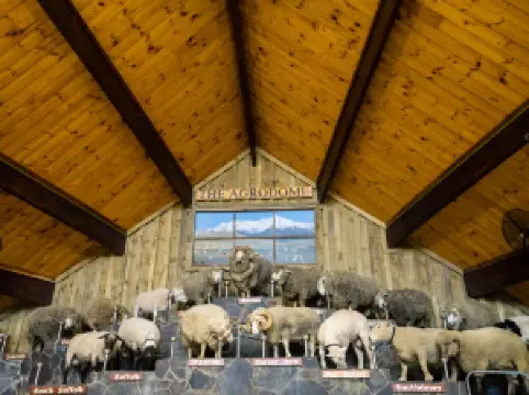 Agrodome