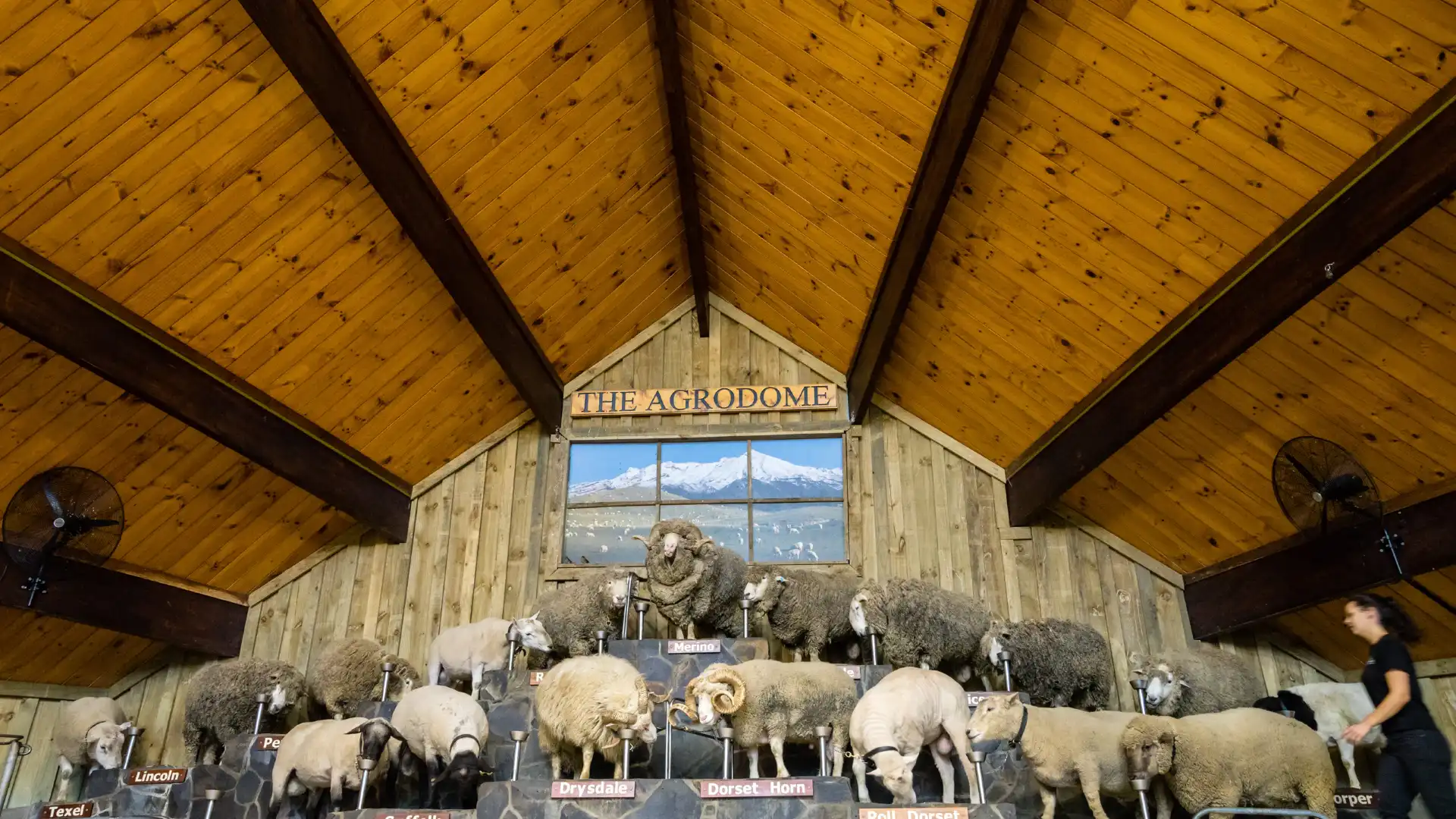 Hotels near Agrodome