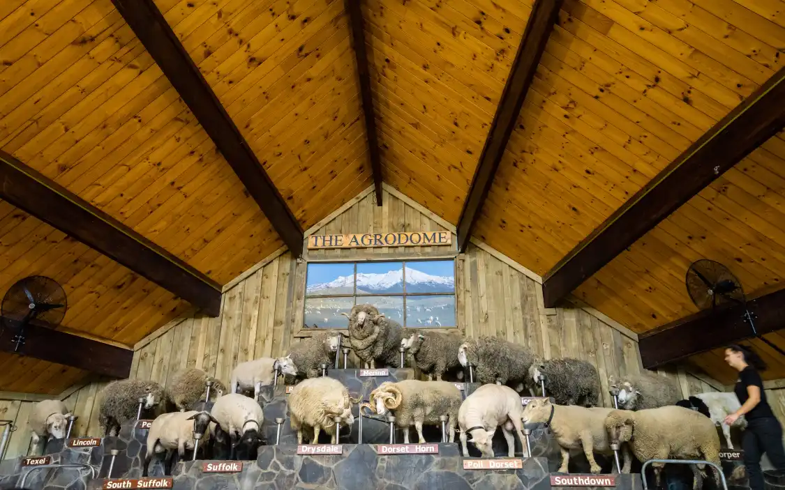 Hôtels à proximité de : Agrodome