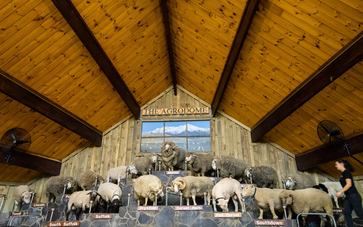 Agrodome