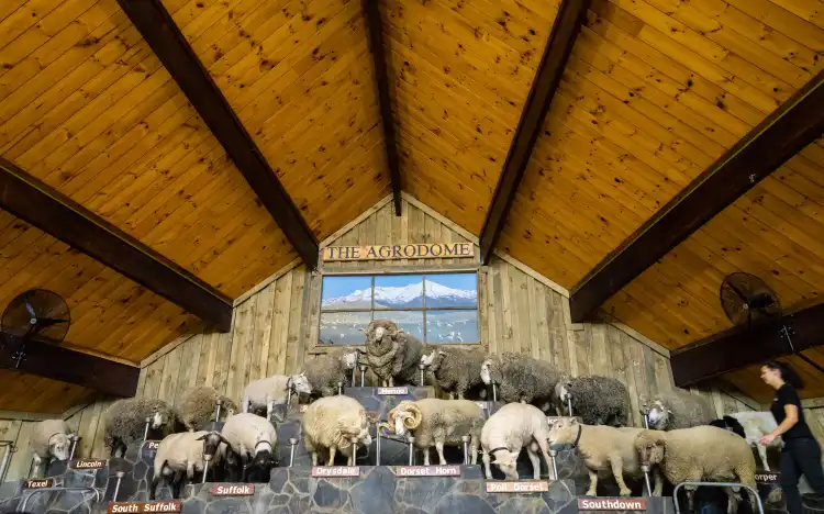 Hotels near Agrodome