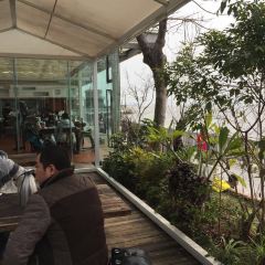 LIN JIA MIN NAN FLAVOR User Photo