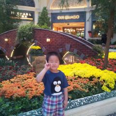 The Buffet at Bellagio 여행 사진