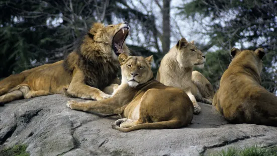 ウッドランド・パーク動物園