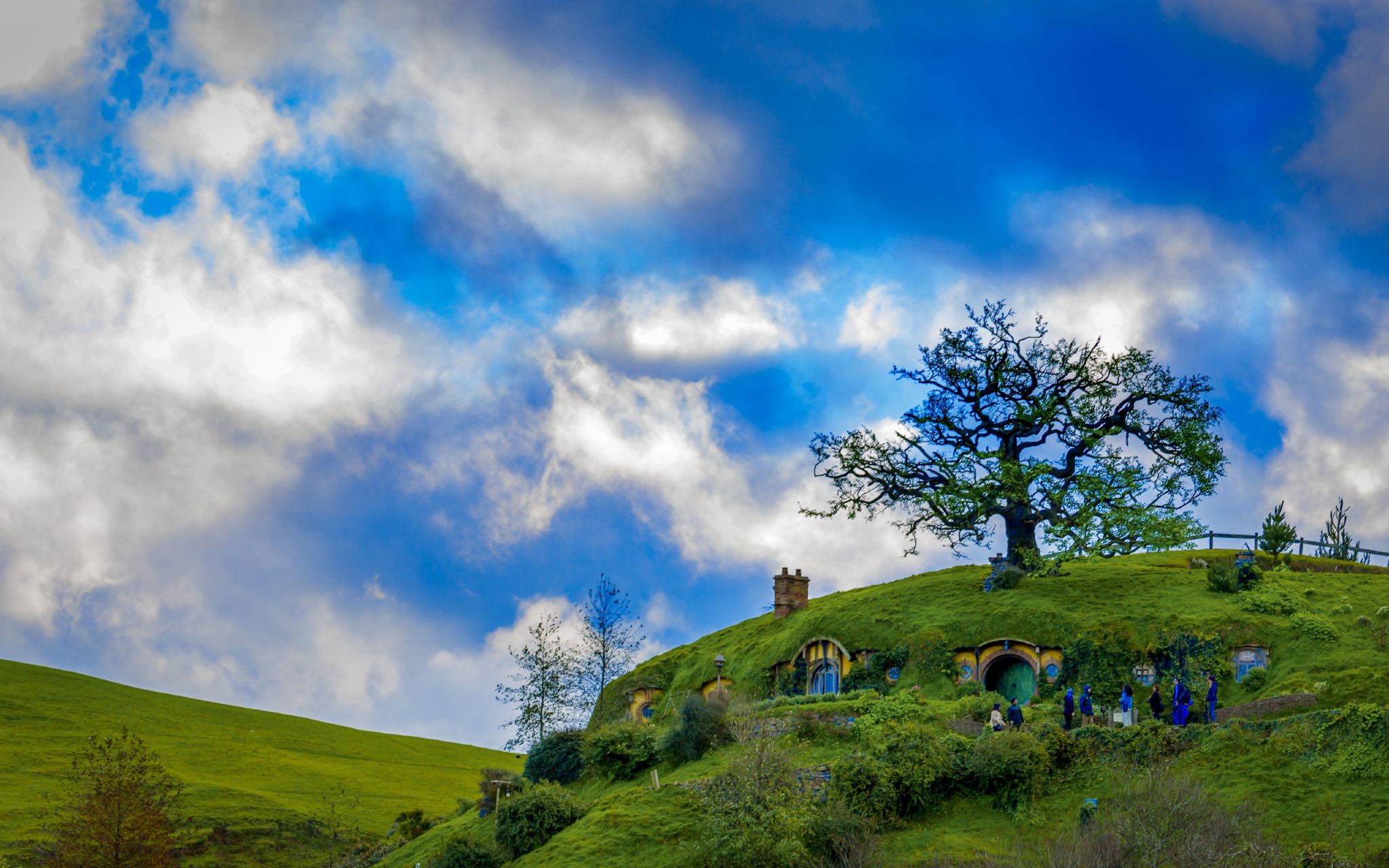 奧克蘭來回【霍比特村+懷託摩螢火蟲洞一日遊】