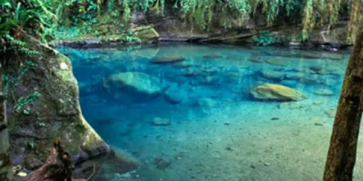 達娜伊谷自然生態公園