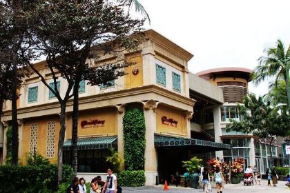 The Cheesecake Factory