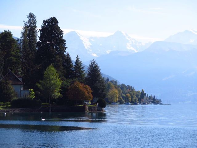 Lake Thun