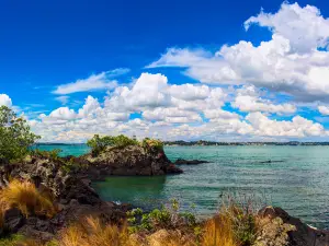 Rangitoto Island