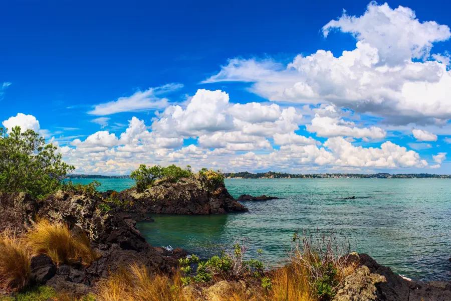 Rangitoto Island